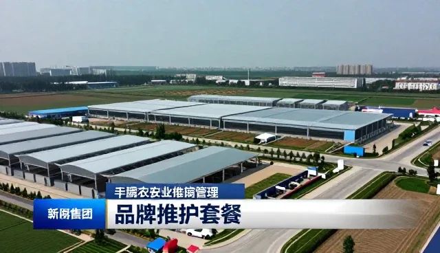 天津网站建设行业趋势与查询产品的应用前景